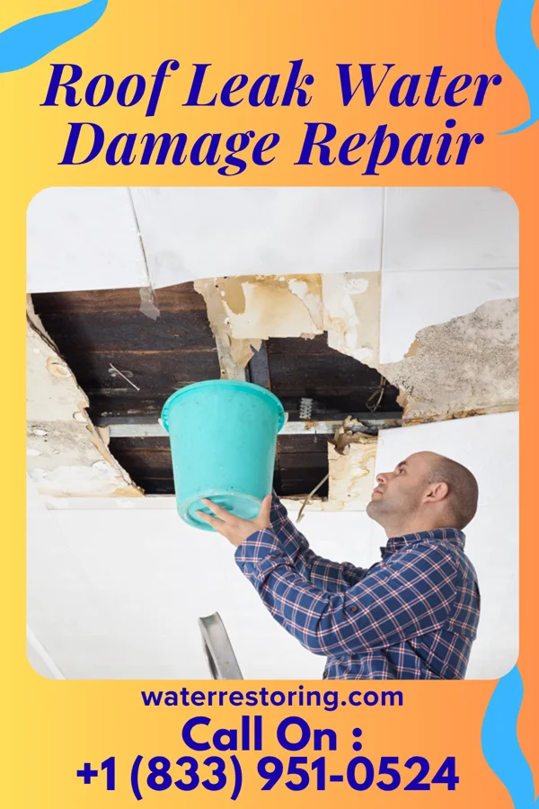 Roof Leak Water Damage Repair in Rock Island, WA